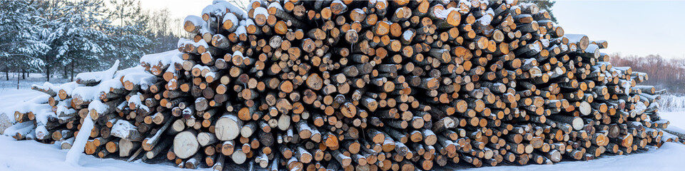 Log stacks along the forest road. Forest alder and birch trees. Log trunks pile, the firewood timber wood industry
