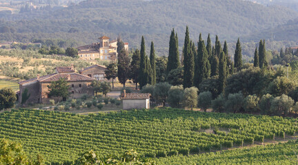 Tuscan villa with vineyard in Italy