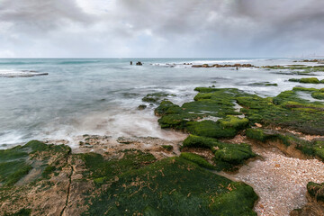 Rocks covered with green plants. Palmahim beach, Mediterranean sea. Israel.