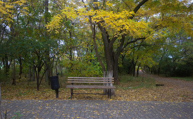 bench in autumn park