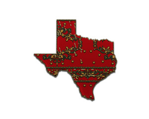 Texas Map USA State symbol Indian Red Sari Saree icon logo illustration