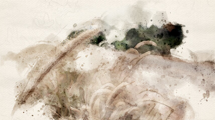 Artistic painting of Feather Pennisetum flowers 