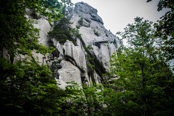 Natural forest around the protected area Bijele stjene mountains, Croatia, Europe