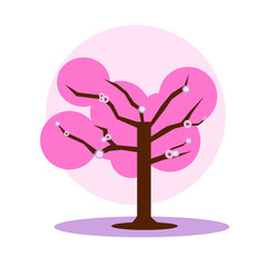 Sakura cherry blossom tree with some bloom particles 