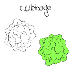 Educational cards with vegetables and their names. Cabbage. Coloring page for children. Study english. Vector illustration