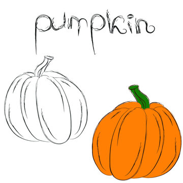 Picture for coloring. Pumpkin with it's name. Study guide for children. Vector illustration
