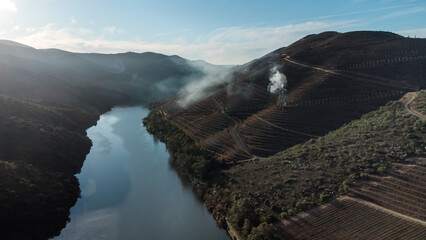 Typical vineyards in the North region of Portugal, showcasing the several different patterns and forms that shape the landscape just by the Douro River