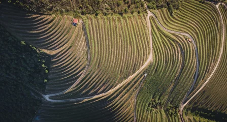 Foto op Canvas Typical vineyards in the North region of Portugal, showcasing the several different patterns and forms that shape the landscape just by the Douro River © Rui