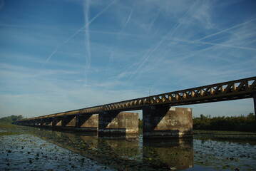 Venkantbridge old railway bridge that runs through a swamp near 's-hertogenbosch moerputten bridge, halve zolenlijntje