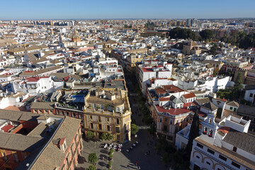 Blick von der Giralda auf die Altstadt von Sevilla
