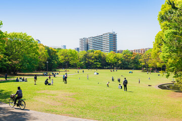 新緑が眩しい公園広場　多摩ニュータウン