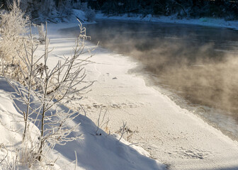 wonderful thick and white frost covers the trees on the river bank, close-up view of frosted...