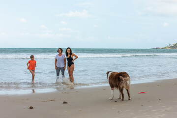 Cachorro Border Colie brincando na praia 