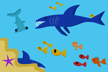 shark and fish
