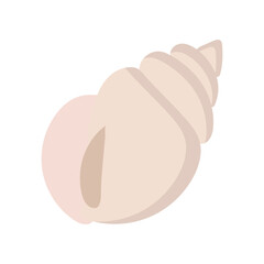 Beige shell on a white background for use in web design