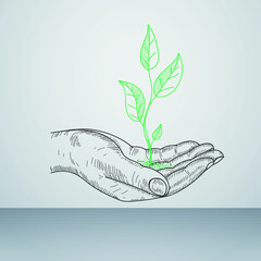 hand holding green leaf