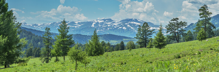 Summer greenery of meadows and forests and snow on the peaks, sunny day, panoramic view