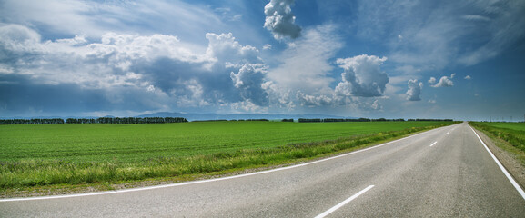 Road among green fields, picturesque sky, spring landscape, panorama