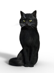 3d render of a charming realistic domestic cat isolated on white