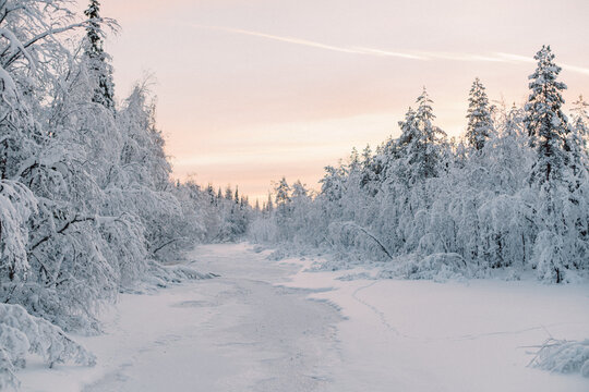 Winter Wonderland in Finland