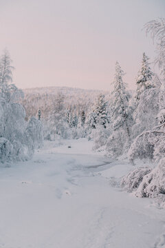 Winter Wonderland in Finland