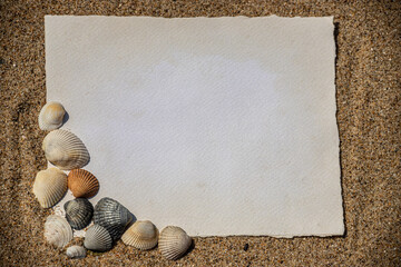 Blank white sheet of paper on white sand with seashells and stones. Message by the sea, romance, valentine's day, mother's day, father's day. Copy space