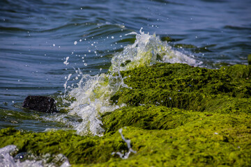 Sea waves crash against large rocks on the shore, forming large splashes