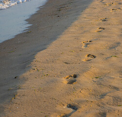 Footprints of a man on the yellow beach sand from walking barefoot by the sea with water that washes away the footprints.