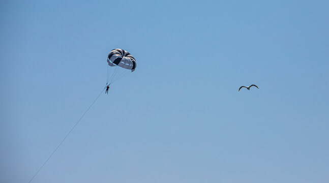 Parasailing is a popular type of outdoor activity at the sea. Parachute soars in the sky over the Sea with tourists