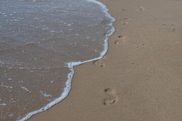 Footprints in the sand beach. Footprints in the sand against a sea wave. Footprints on a sunny day with golden sand, beach, wave and footsteps