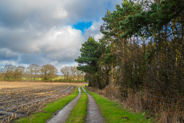 Fototapeta na wymiar Walking around the Siddings Lane Nature reserve near Rainford in St Helens, Merseyside