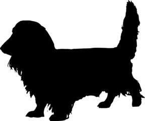 Dachshund Long haired Silhouettes Dachshund Longhaired SVG EPS PNG