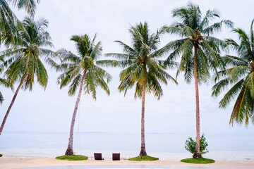 Fototapeta na wymiar Tropical landscape. Sand beach with coconut palm trees.