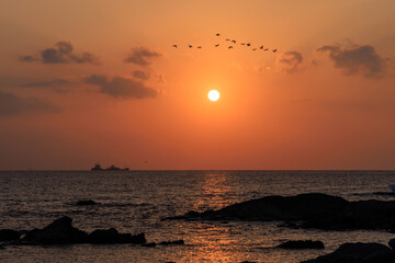 色鮮やかな夕焼けと飛ぶ水鳥の群れのシルエット