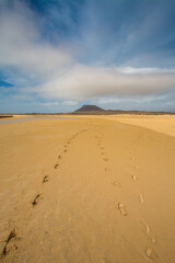 Fototapeta na wymiar couple Footsteps on the Beach, Lanzarote La Graciosa Canary Islands