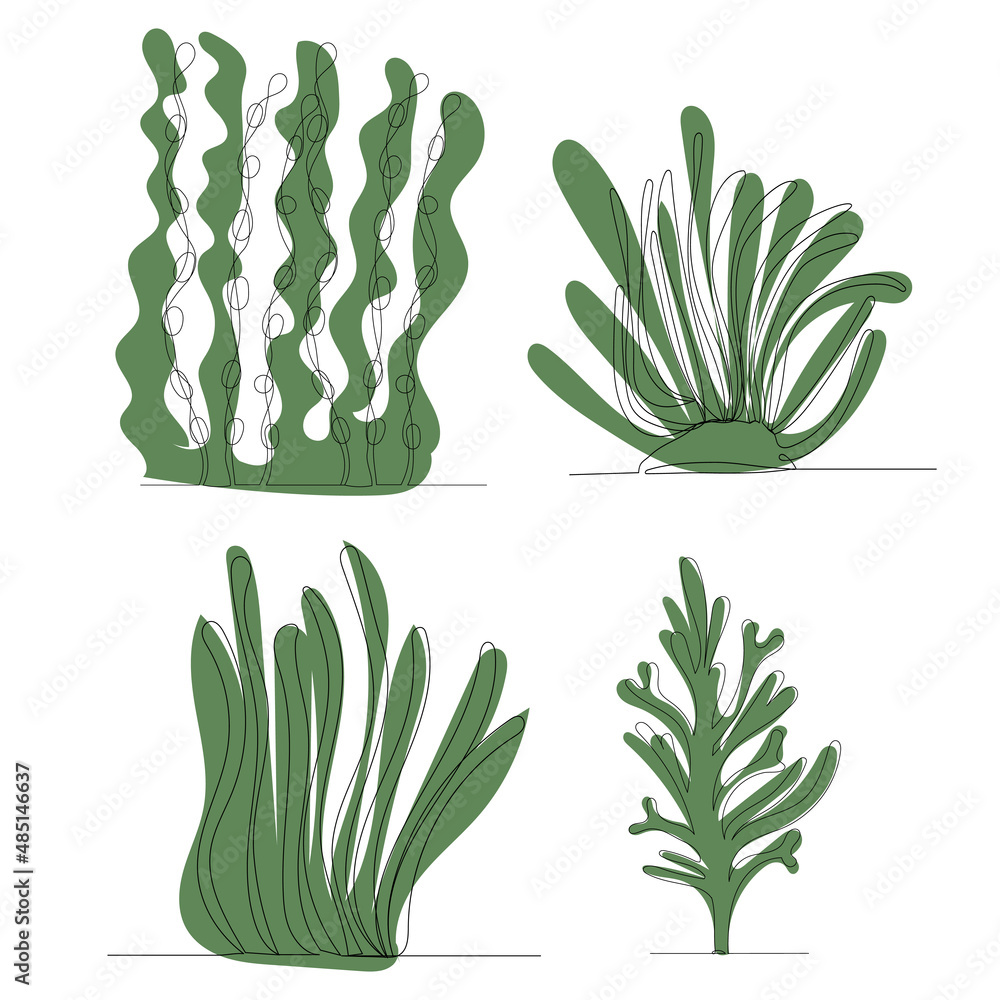 Wall mural algae in one line, outline on an abstract background