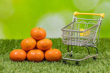 A pile of fresh mandarins on the background of nature, shopping cart, The concept of healthy fruits and vegetables grown in harmony with nature