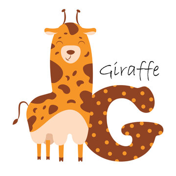 Illustration for the English alphabet with the image of a giraffe, for teaching young children with beautiful typography. ABC - letter g