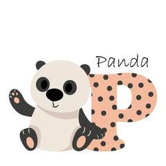 Illustration for the English alphabet with the image of a panda, for teaching young children with beautiful typography. ABC - letter p