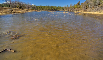 Lynx Lake viewed from Southeast Bay