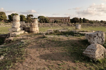 Fototapeta na wymiar Rovine del Parco archeologico di Pestum