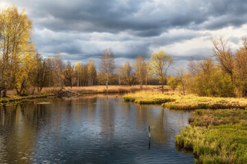 Fototapeta na wymiar Bright dramatic spring landscape with an old pond, trees on the shore and reflections. Greenery spring sunny landscape with old pond.