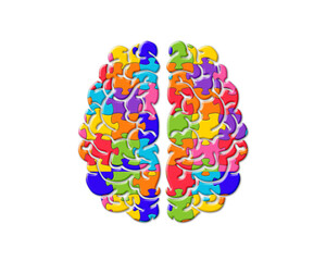 Brain mind Jigsaw Puzzle Icon Logo illustration