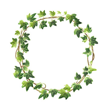 Ivy branch with leaves frame, wreath . Hand drawn watercolor illustration, isolated on white background