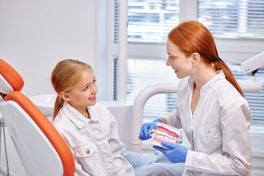 Dentist in uniform with maket of jaw is telling about healthcare in dental clinic to child girl patient, side view. pretty diligent kid girl is listening to female dental doctor. medicine concept - Powered by Adobe