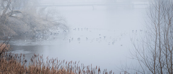 Cold winter morning with heavy fog on the city lake
