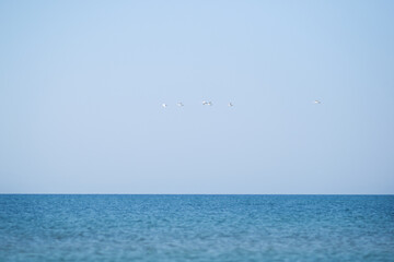 blue sky and sea