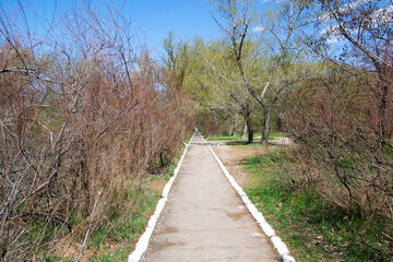 path in the countryside