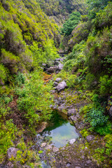 Fototapeta na wymiar Madeira -Levada do Rocha Vermeilho