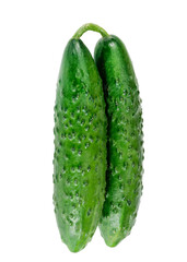 cucumber isolated on white background